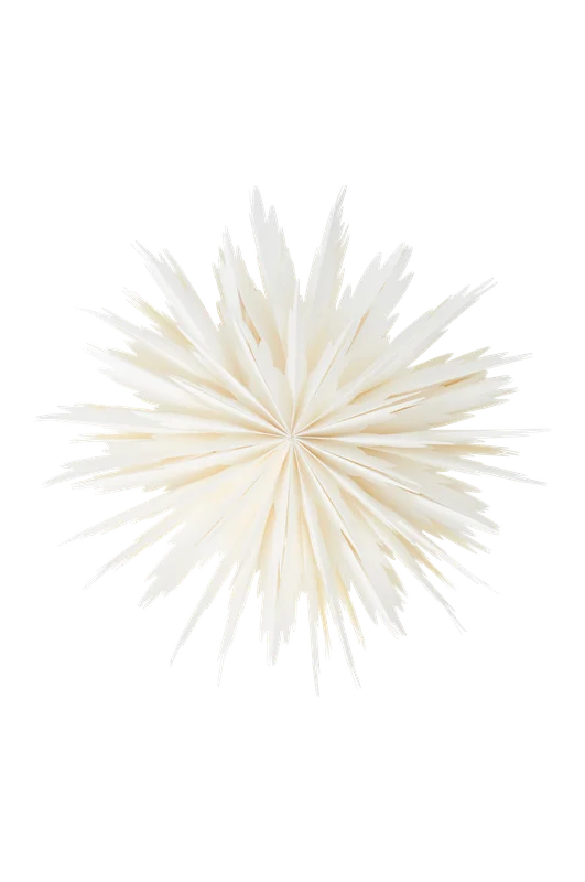 2026_05_20_225271