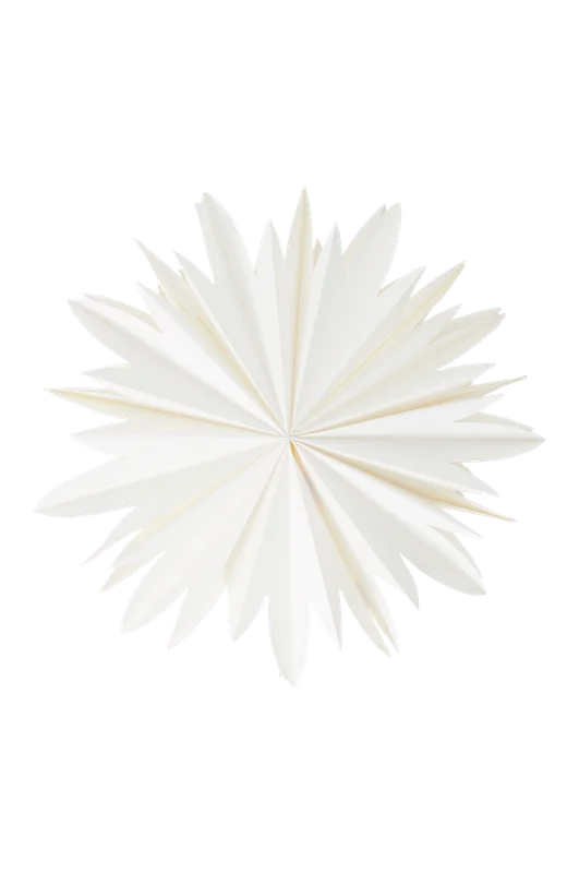 2026_05_20_226093